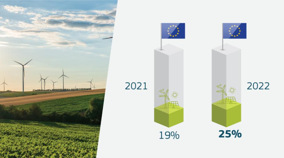 Renewables in the energy mix: 19% in 2021 and 25% in 2022